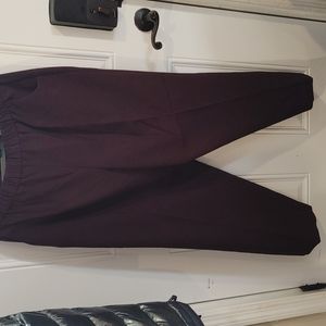 Purple Briggs New York Dresspants